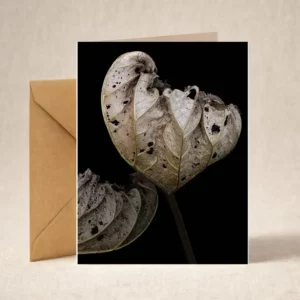 Greeting Card - Autumn Leaves -2