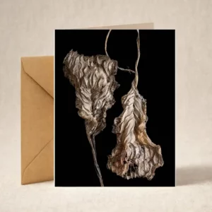 Greeting Card - Autumn Leaves