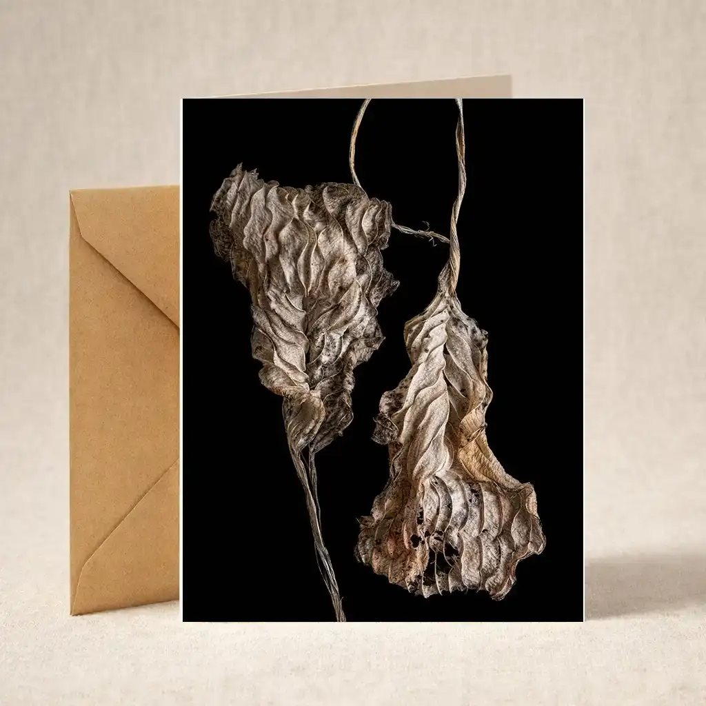 Greeting Card - Autumn Leaves