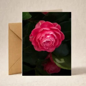 Greeting Card - Camelia
