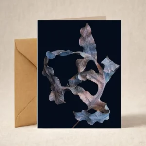 Greeting Card - Dead Fern