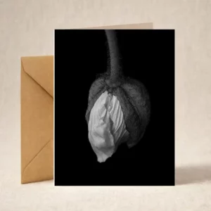 Greeting Card - Poppy