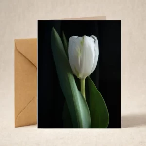 Greeting Card - Tulip