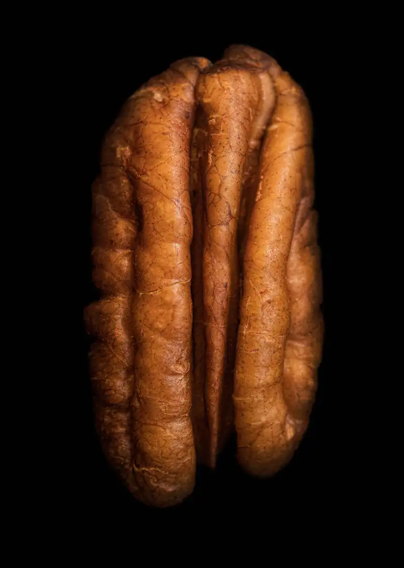 Pecan